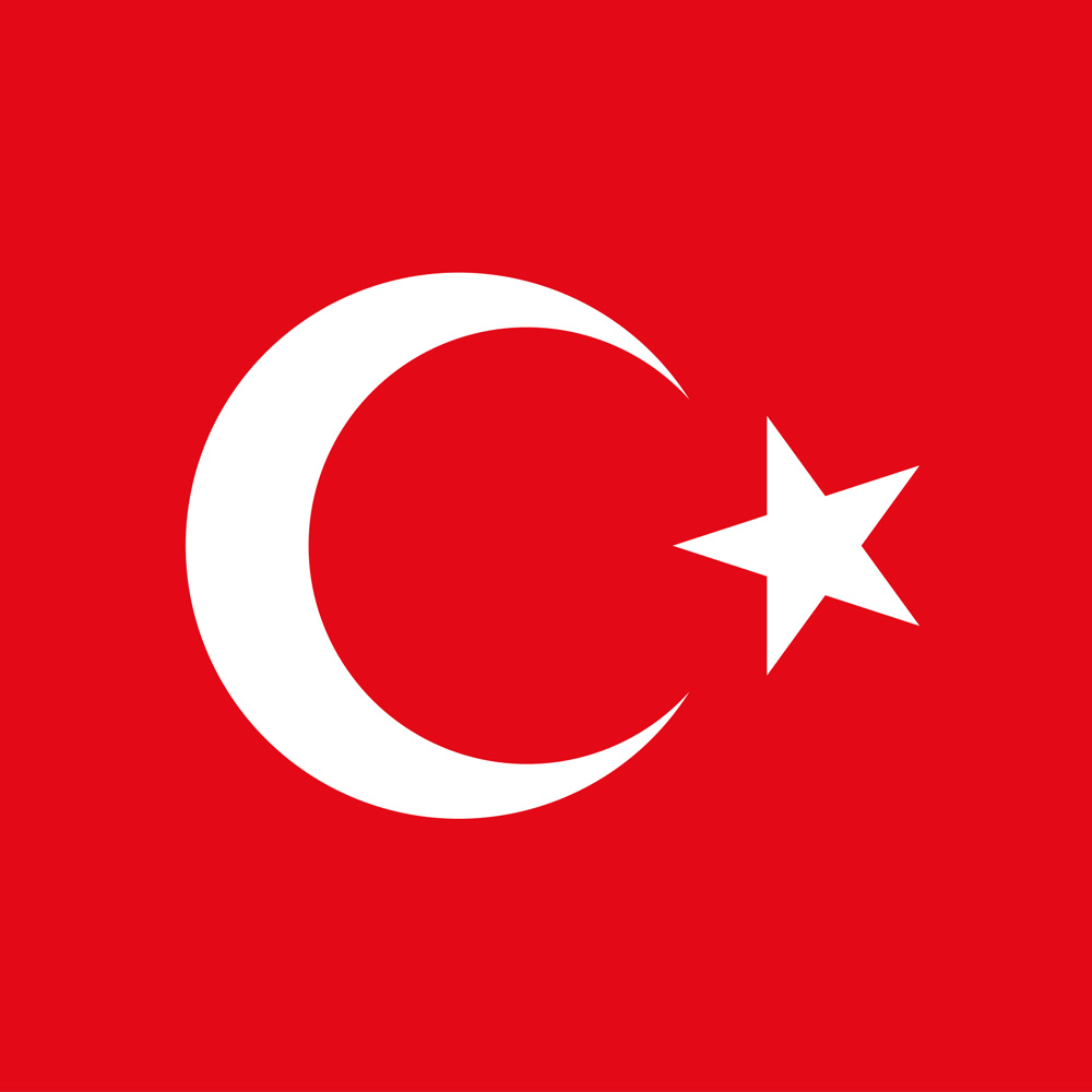Türkçe